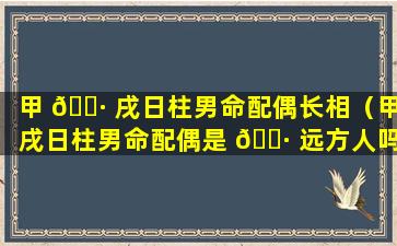 甲 🌷 戌日柱男命配偶长相（甲戌日柱男命配偶是 🌷 远方人吗）